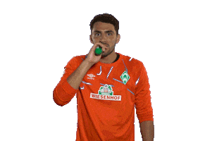 Stefanos Kapino Football Sticker by SV Werder Bremen
