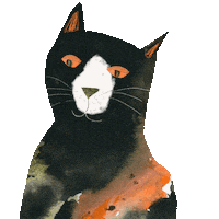 Cat Cartoon Sticker