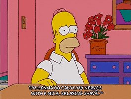 homer simpson GIF