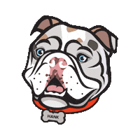 Cleveland Browns Sticker by CrossCountry Mortgage, LLC