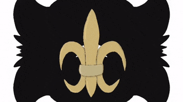 New Orleans Saints Football GIF by jbianart