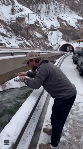 Man Catches Fish While Waiting in Traffic Jam