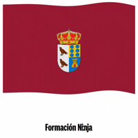 Castilla Y Leon Flag GIF by Formación Ninja
