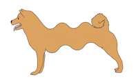 dog shiba Sticker