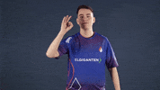 Ok GIF by Copenhagen Flames