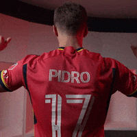 Mls GIF by St. Louis CITY SC
