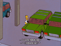 homer simpson GIF