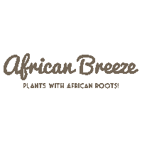 vreugdenhilbulbsplants plants decorum scilla vreugdenhilbulbsplants Sticker