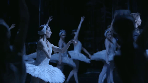 swan lake dance GIF