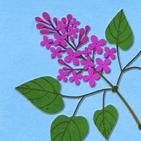 mirenahristova animation cartoon summer illustration GIF