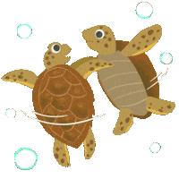 Sea Turtle Dancing Sticker by Anak Rimba Books