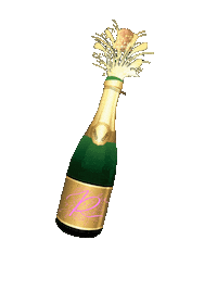 Champagne Sticker by Remy Photography