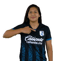 Escudo Gallos Sticker by Club Querétaro