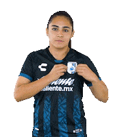 Siempre Gallos Sticker by Club Querétaro