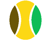 Tennis Wheelchairtennis Sticker by CPSport