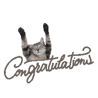 Congratulations Meru Sticker