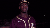 PRCCAthletics wildcats mississippi juco prcc GIF