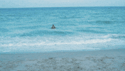 New York Water GIF by Nova Sound
