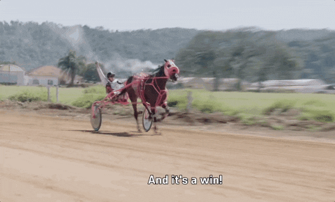 Episode Two Win GIF by UFC