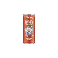 Snow Winter Sticker by Sparkling Ice Spiked