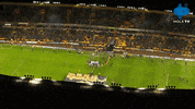 Stay Strong Premier League GIF by MolaTV