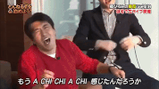 comedy japan GIF
