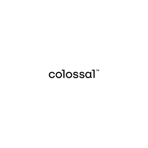 Start Up Logo Sticker by Colossal