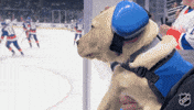 New York Hockey GIF by NHL
