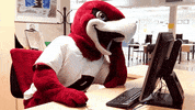 RiponCollege tired sleep sleepy office GIF