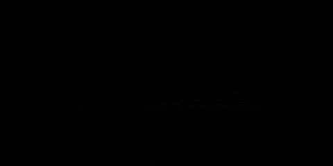GIF by Das Feinkost Kartell