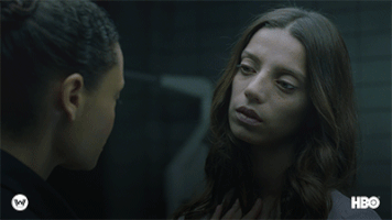 GIF by Westworld HBO