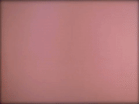 prince eye hate u GIF