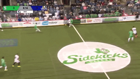 DallasSidekicks giphygifmaker soccer dallas goalie GIF