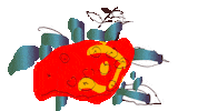 Bird Eat Sticker