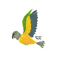 Vegan Cashew Sticker by Simplynuts