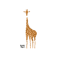 Vegan Cashew Sticker by Simplynuts