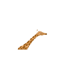 Vegan Cashew Sticker by Simplynuts