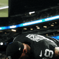 Las Vegas Raiders Nfl GIF
