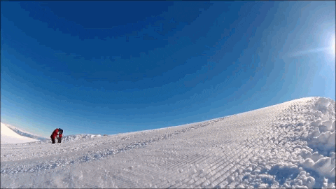 YearToAppear giphyupload GIF