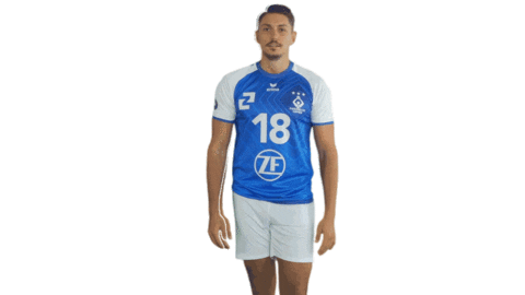Andre Brown Sport Sticker by vfb_volleyball