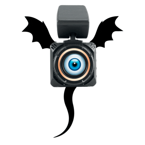 NAVITEL party celebration halloween holiday Sticker