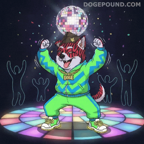 Excited Lets Go GIF by Doge Pound