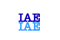 Einstein Sticker by iaegrafico