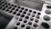 GIF by Vulture.com