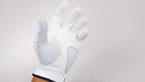 majorworld giphygifmaker GIF