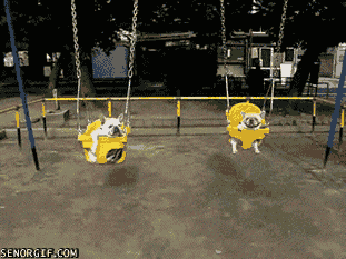 swinging french bulldog GIF by Cheezburger
