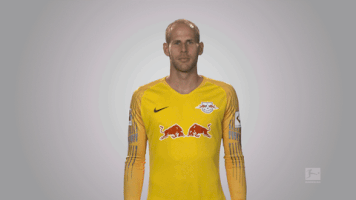 rb leipzig GIF by Bundesliga
