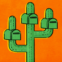 Voting Rights Cactus GIF by Creative Courage