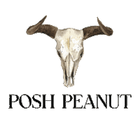 Long Horns Texas Sticker by Posh Peanut