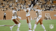 Regular Season Football GIF by NFL